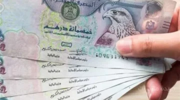 تطور جديد.. سعر الدرهم الإماراتي اليوم الجمعة آخر تحديث في البنوك المصرية 1